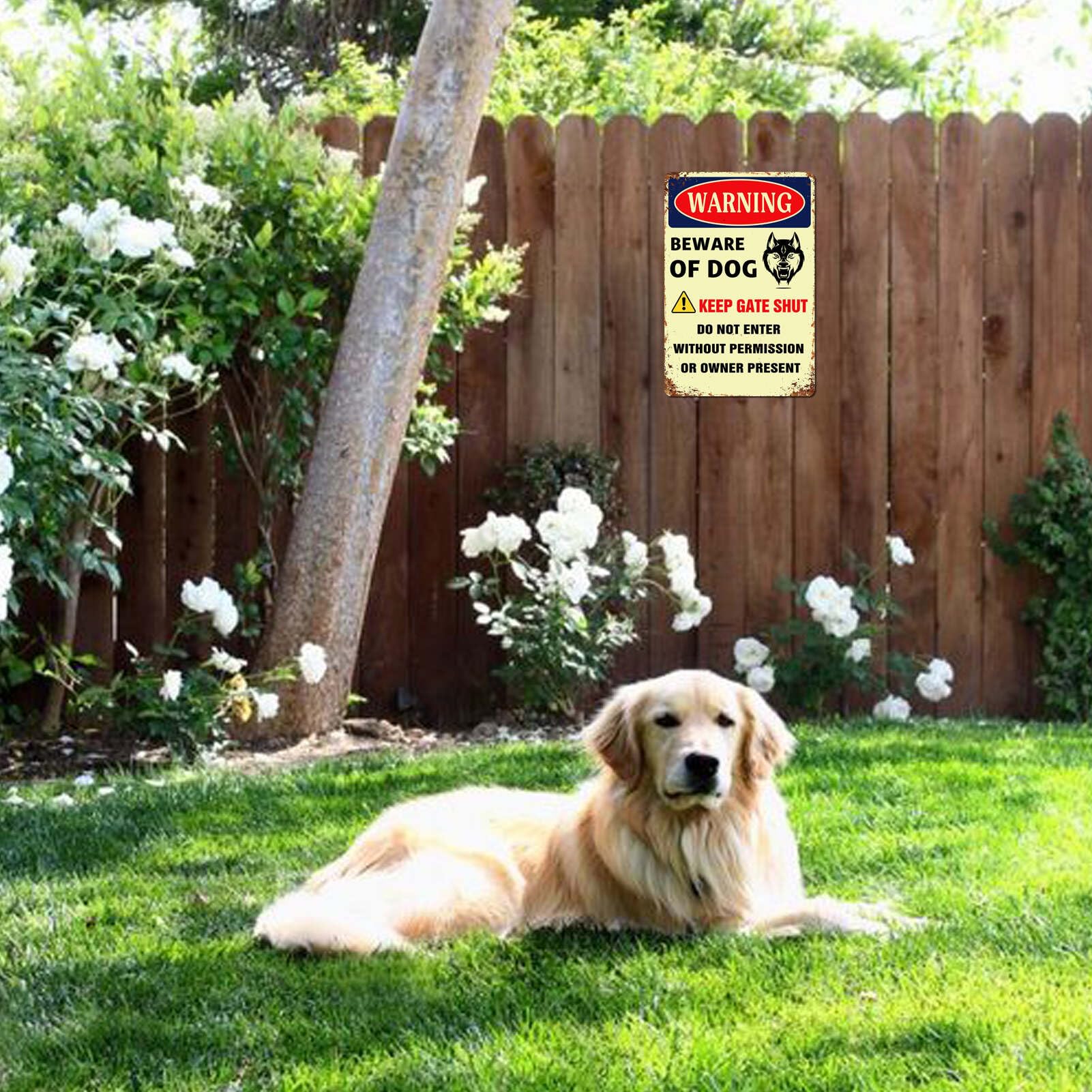 Amazon.co.jp: Ubewair Beware of Dog Signs for Fence、犬の